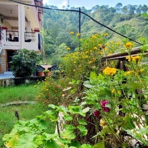 Sukhmani-kasauli-GhumoG-garden