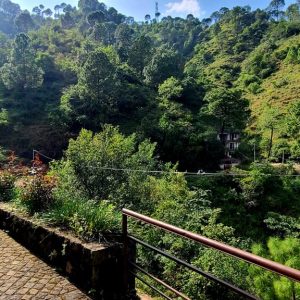 Sukhmani-kasauli-GhumoG-greenarea