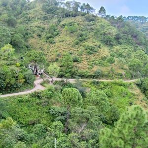 Sukhmani-kasauli-GhumoG-roadview